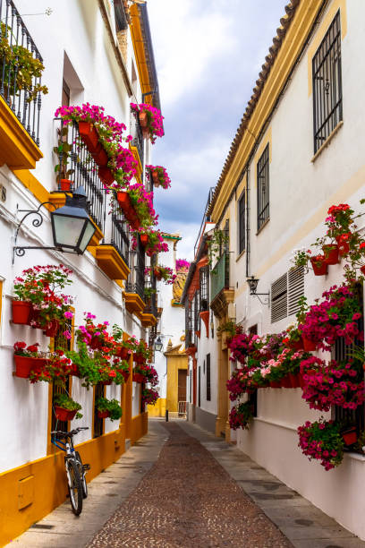 Flowers flowerpot on the walls on streets. Cordoba, Spain Flowers flowerpot on the walls on streets (Calle Velazquez Bosco). Cordoba, Andalusia, Spain andalusia photos stock pictures, royalty-free photos & images