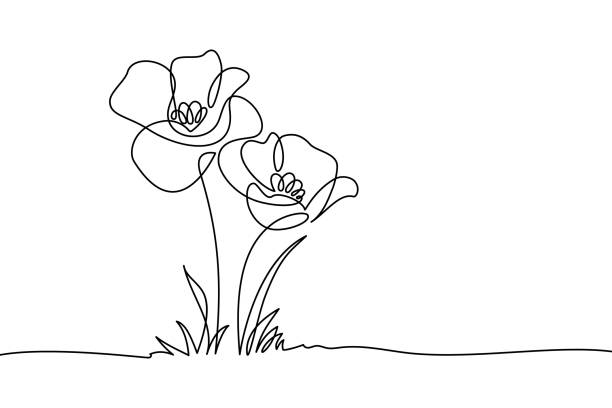 Two flowers blooming among grass Poppy flowers in continuous line art drawing style. Doodle floral border with two flowers blooming among grass. Minimalist black linear design isolated on white background. Vector illustration line art stock illustrations