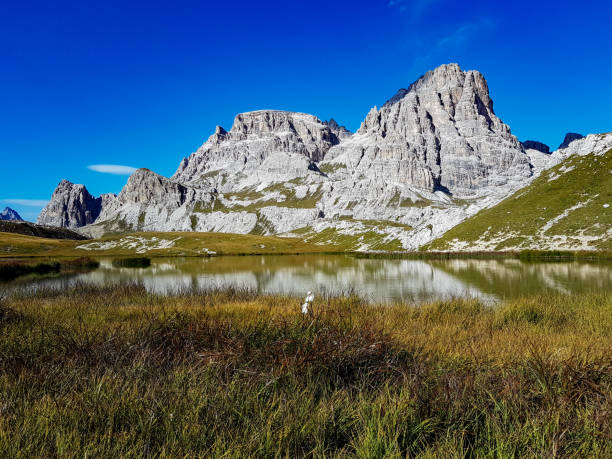 istock Lake in the Alps 1313991521
