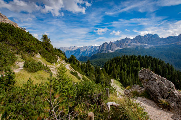 istock Sunny Day in the Dolomites 1313992088