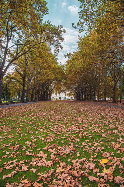 Melbourne Carlton Gardens autumn scenery - fallen leaves