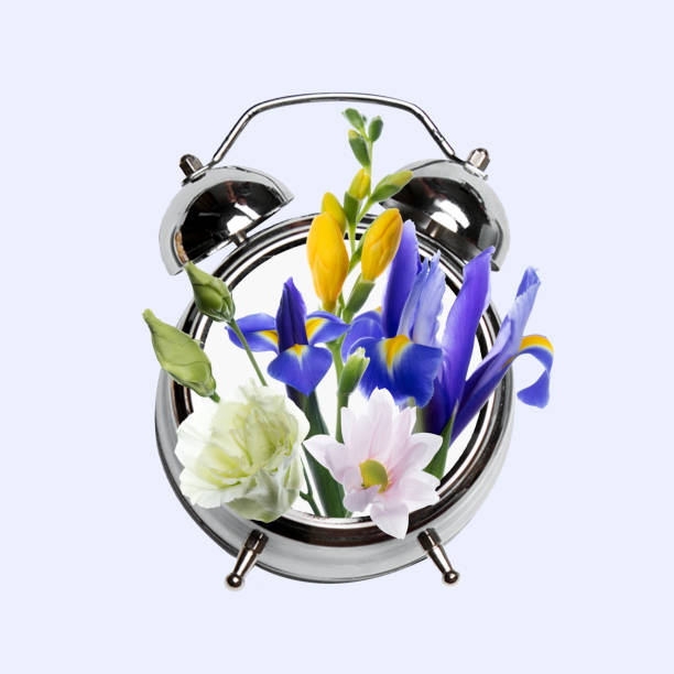 Contemporary art collage, modern design. Retro style. Clock with bouquet with blooming spring flowers on pastel background