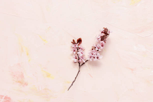 istock Fresh branch with pink flowers on pastel background 1313994396