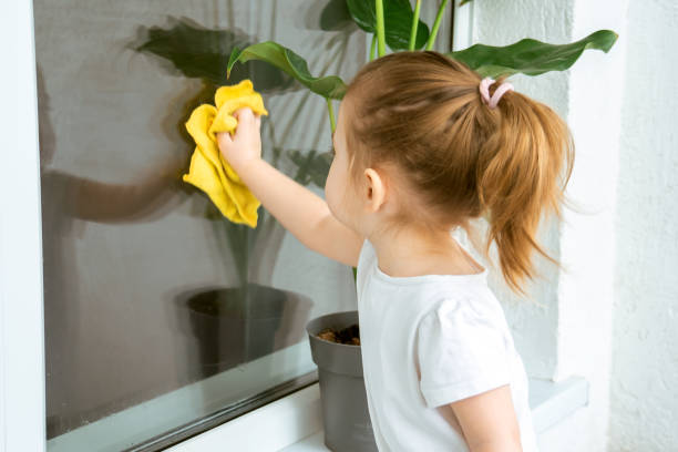istock A little girl diligently washing a window. 1313994482