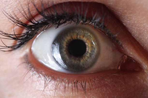 istock Female eye with permanent eyelid makeup closeup 1313995371