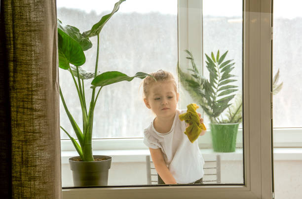 istock A little girl diligently washing a window. 1313995471