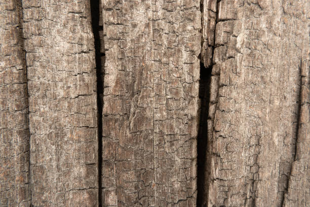 istock Wood grain texture pattern background structure oak wooden material natural surface dry hardwood tree wallpaper weathered abstract backdrop. 1313997279
