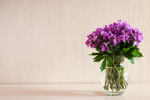 Beautiful delicate purple wildflowers in glass vase on the table with copy space. Minimalistic home decor. Floral background.