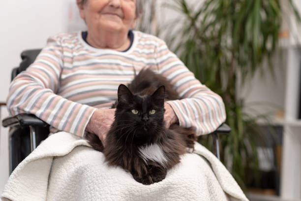 istock Elderly woman with her pet 1314000050