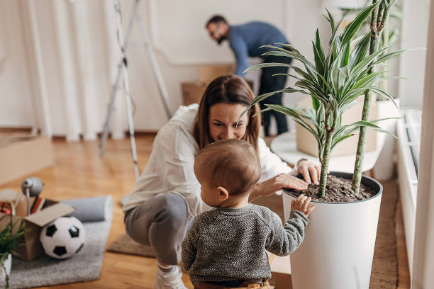 istock Family in their new house 1314001902