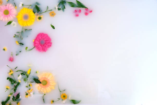 istock Flowers in bath water and copy space for text 1314005562