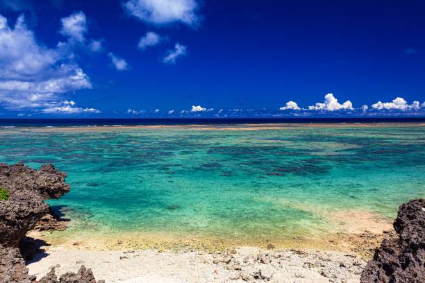 istock Summer beach scenery at Yoron island in Kagoshima prefecture, Japan. 1314005809