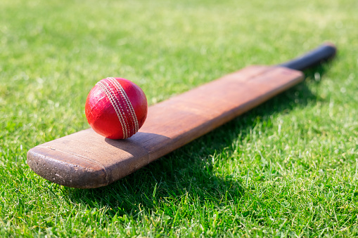 Cricket ball and cricket bat on green grass of cricket ground