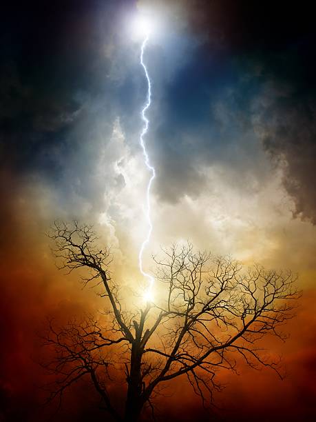 Tree struck by lightning stock photo