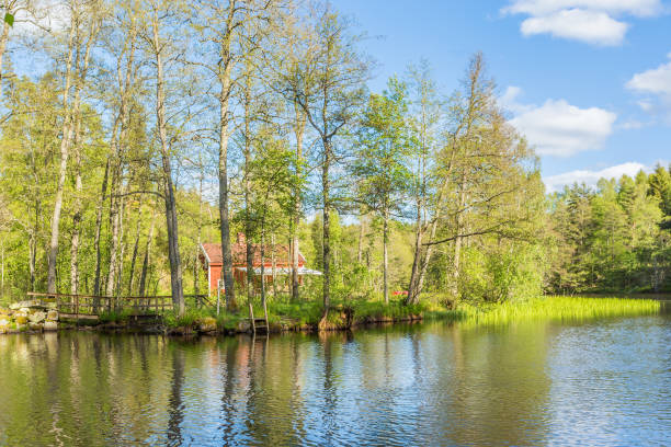 istock Summer cottage by a lake 1314012065