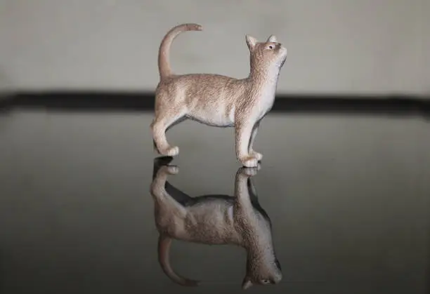 Photo of Cat figure design