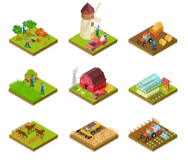 Vector illustration of Isometric farm. Farmer tractor lorry and harvester. Livestock and agricultural green plants. 3d farmland vector set