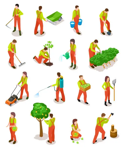 Vector illustration of Isometric gardeners. Farmers work in garden. People in farming rural scene with trees and plants. 3d vector characters isolated