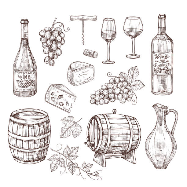 illustrations, cliparts, dessins animés et icônes de esquissez l’ensemble de vin. raisin, bouteilles de vin et verre à vin, tonneau. ensemble de vecteurs de boissons alcoolisées vintage dessinés à la main - vin