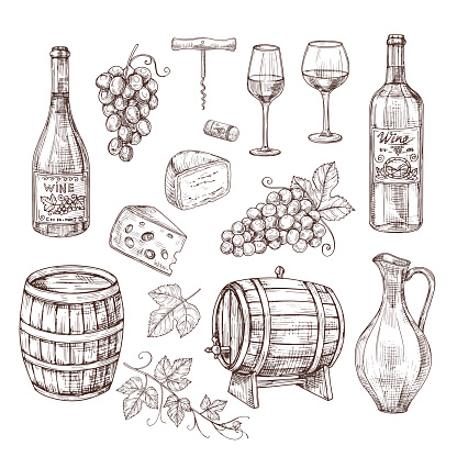 Sketch wine set. Grape, wine bottles and wineglass, barrel. Hand drawn vintage alcoholic beverages vector set