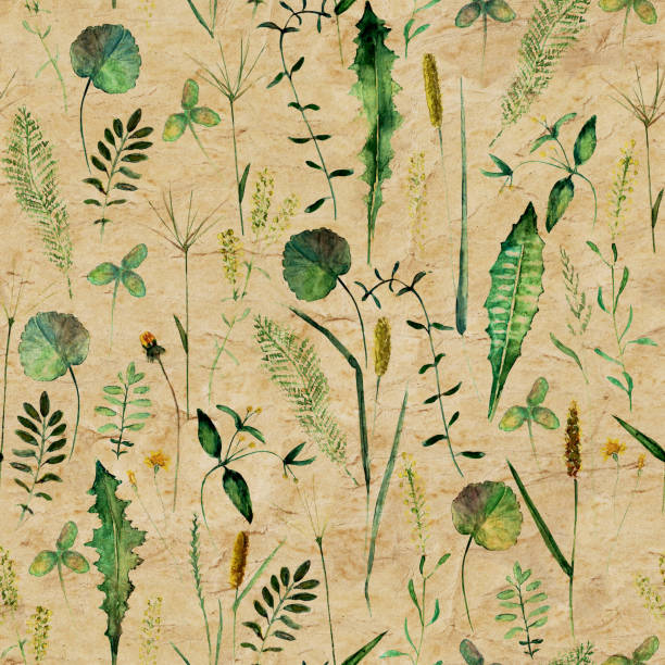 istock Seamless pattern with wild flowers, herbs, grasses. Watercolor hand drawn botanical illustration 1314015656