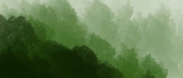 istock abstract background image forest gloomy forest at dusk 1314015695