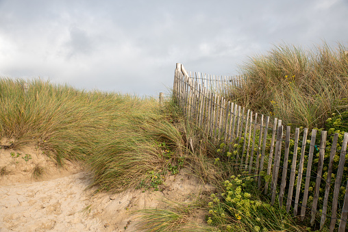 Barrier (Ganivelle) at the edge of the beach to retain the sand and limit the passage of walkers