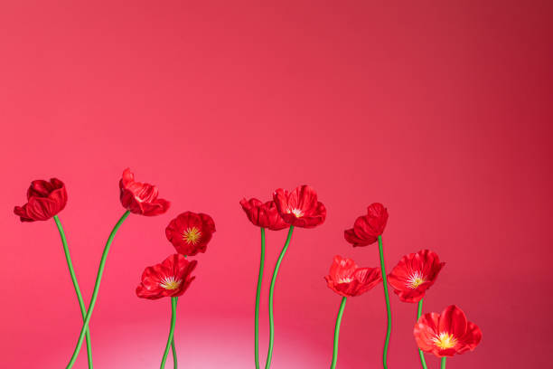 poppy flowers plastic on red background close up - plastic poppy imagens e fotografias de stock