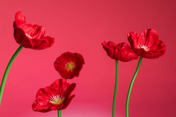 poppy flowers plastic on red background close up - plastic poppy imagens e fotografias de stock