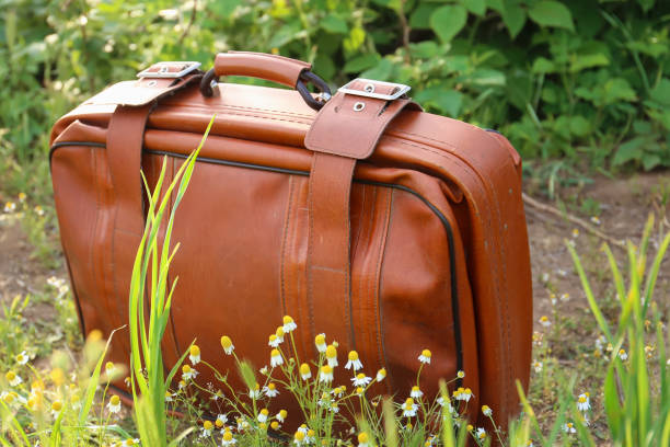 istock Old suitcase on the background of nature 1314026385