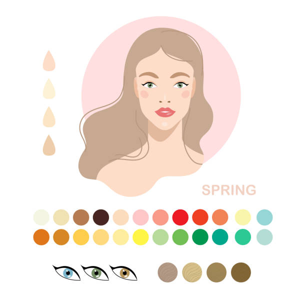 Type of appearance. Woman appearance color type spring Woman appearance color type spring. Woman portrait with color type or types of skin color. Fashion guide chart with analysis of skin tone color type, hairs, eyes, makeup palette and clothes. Vector skin tone chart stock illustrations