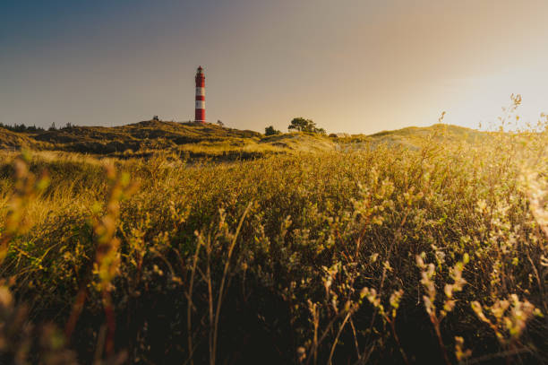 paesaggio della costa con faro, isola di amrum - amrum summer spring island foto e immagini stock