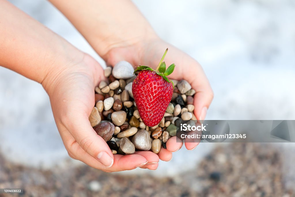 Rojo maduro fresas y piedras de mujer las manos - Foto de stock de Adulto libre de derechos