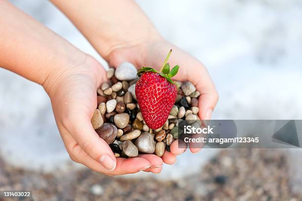 Photo libre de droit de Rouges Mûres De Fraise Et De Pierres Sur Femme Mains banque d'images et plus d'images libres de droit de Adulte