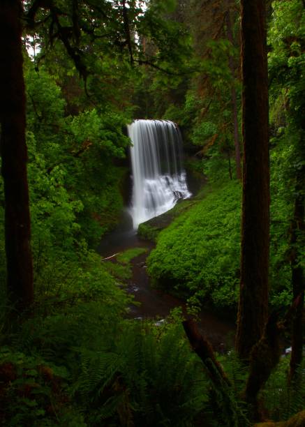 istock Middle north falls in silver falls state park in Oregon during early spring 1314033759