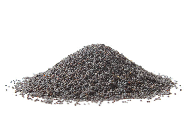 istock poppy seeds isolated on white 1314037761