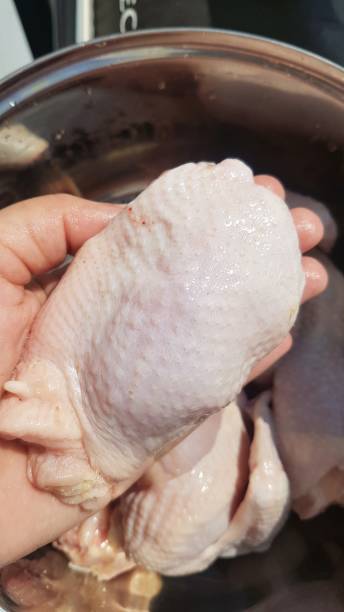 istock Raw chicken in the hand 1314038885