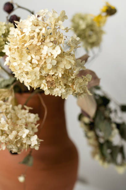 istock Dried flowers. Educational still life for drawing. 1314039242