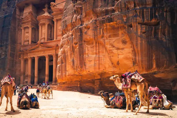 Petra Al Khazneh, aka the Treasury, with Camels in Petra, Jordan