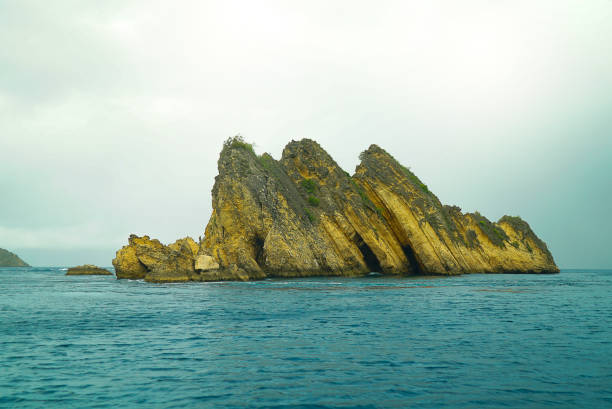istock Isolated island with blue water 1314041056