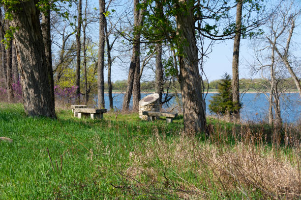 istock Seating area in woodland. 1314042456
