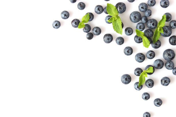 istock blueberry and mint leaves on a white background top view. Place for text 1314042806