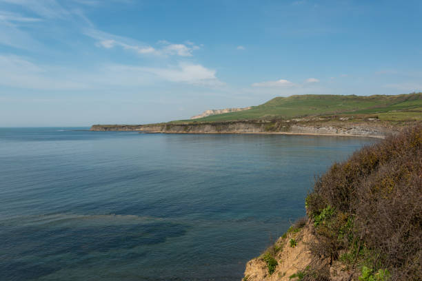 istock Still waters on the Jurassic Coast 1314043939