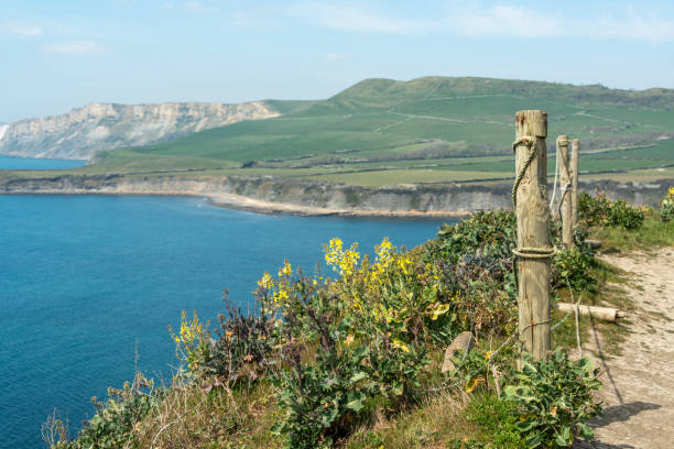 istock South West Coast Path at Kimmeridge Bay 1314044094