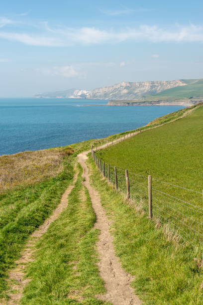 istock Views along the South West Coast Path on the Jurassic Coast 1314044283