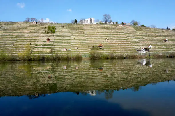 rock gardens on the neckar river near stuttgart