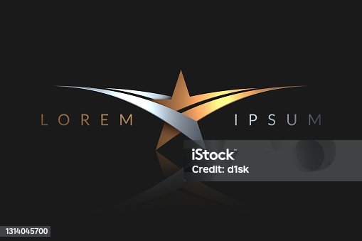 istock Gold and silver star logo template 1314045700