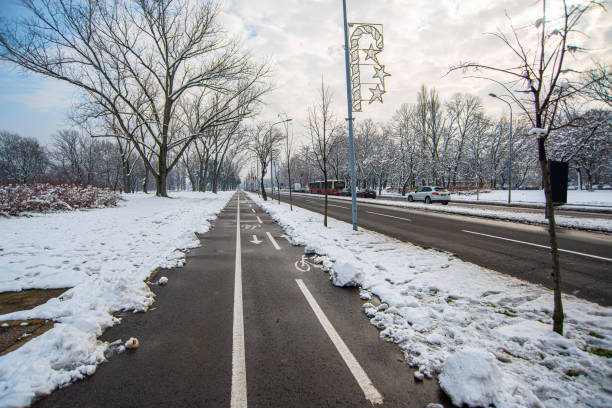 istock Sunny and white winter day 1314048401