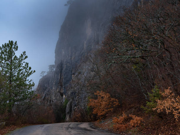 la strada forestale autunnale mattina nella nebbia - inspiration cold motivation passion foto e immagini stock