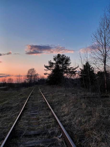 istock Railway  in countryside, pine trees at horizon 1314051941
